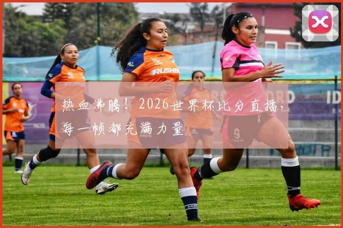 热血沸腾!2026世界杯比分直播,每一帧都充满力量