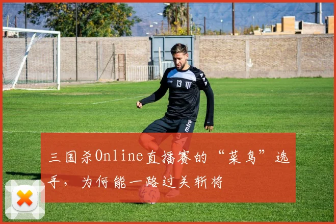 三国杀Online直播赛的“菜鸟”选手,为何能一路过关斩将
